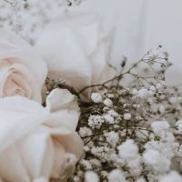 新娘回门需要准备什么 新娘回门禁忌