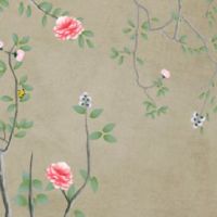 女人眉形与命运图解 不同眉形女人的命运情况