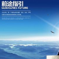 有限公司起名大全