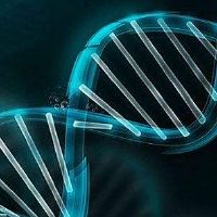 好的品牌名字有哪些特性