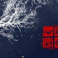 在线测试测试测试您想要留在生活中吗?