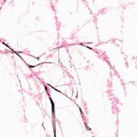 回门宴主持词开场白 带着欢笑与祝福最好