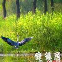 健康管理公司起名大全