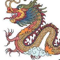 1976年，龙女2022年运营详述了46岁的2022财年，46岁