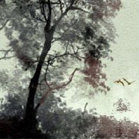 八个字符最幸福