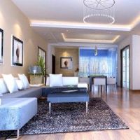 房子闯入枫水的原因是什么?