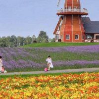 五个元素的颜色是什么？