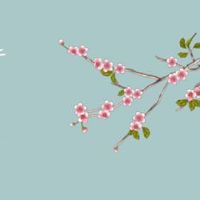 最佳车牌号组合 尾数9的车牌前面用什么号来配