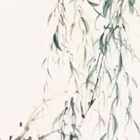 清明节忌讳穿什么颜色的衣服 今日祭族祖代表尊敬