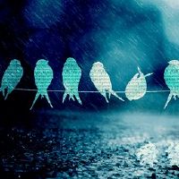 周杰伦的歌曲大全