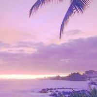 Boyzi的性格特征和自然特征