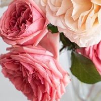 2022年6月20日适合结婚吗 这天日子如何