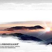 四字公司名字大全通过率高