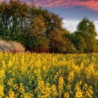 人们面临的特征是什么?