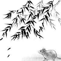 飞蛾，今年多大了，2022只老鼠是几年