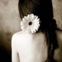 教你如何在蛇年度变得太大