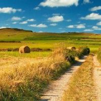 白色碎片适用于什么颜色配件