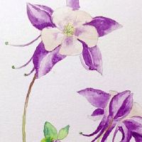 虎年家里摆什么最旺财 属虎人摆飞马马到成功