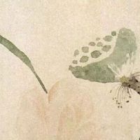 夫妻宫最好的星武曲 择偶标准较理性