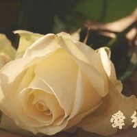 好听的花店名字