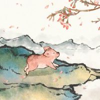 这是幸运数字，住房地板和猪人2023的方向。