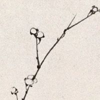 流年合夫妻宫什么意思 婚姻八字如何配对