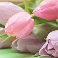 蒂姆周星座财富(3.20-3.26)