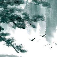 天蝎座手机号幸运数字 寓意好值钱号码分析