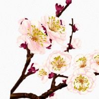 五行穿衣每日分享:2022年7月16日穿什么颜色提运