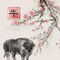 73年牛2022年运势如何 职场所谓如虎添翼