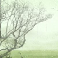 24种山谷雨水健康饮食建议有什么禁忌吗?