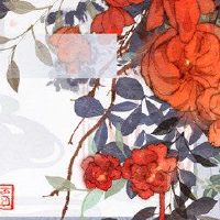 12月份财富的财富升起了什么？