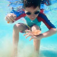 跟丰字搭配的男孩名字