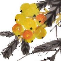 手机号尾号5555风水 热门值钱手机号推荐