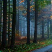 什么颜色适合水的颜色