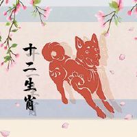 2023只狗的凶星是什么？