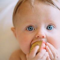 姓赵男孩起名字大全