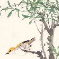 十二星座谁的杀气最可怕 金牛座天生自带杀气