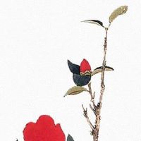 男人二婚手相图解 婚姻线末端下垂婚姻波折