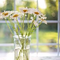 2022年7月9日是婚姻的婚日本？