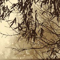 什么是特定的糕点？