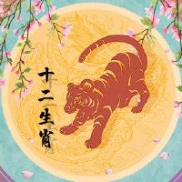 出生的老虎，出生的老虎，很多曲折