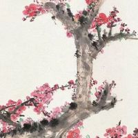 2022年3月27日出生属虎女宝宝命理好不好 一生荣华富贵