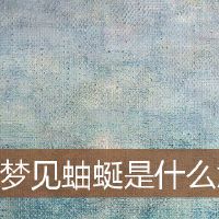 梦想是什么意思?