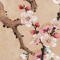 1998年是苦命虎还是富虎 得贵人指点拥有财富