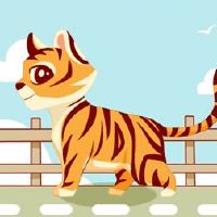 是老虎和龙和龙的属吗？