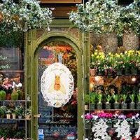 好听的花卉店名大全