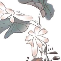 2022年5月20日黄道吉日查询 520是黄道吉日吗