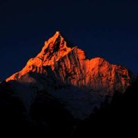 甲木富贵八字特点，符合这三点会一生富贵