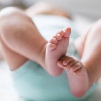 2022年月历可能出生于男孩五行的萤火虫